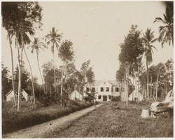 Former plantation (1885)