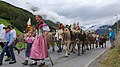 Image 9Farmer families, dressed in traditional clothing, guiding cattle down from the Swiss Alps. (from Culture of Switzerland)