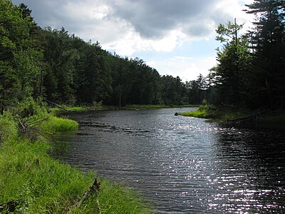 Bog River Flow