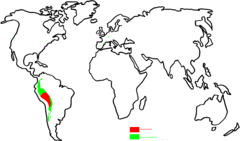 Distribución original y propagación