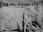 Thumbnail for File:Henry Ford and Charlie the Elephant at Universal City 1916 01.jpg