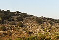 Tinos, Volax landscape