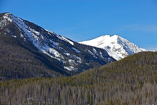 Mountain pine beetle damage in Rocky Mountain National Park as of January 2012