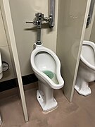 Urinals in a bathroom in the American Museum of Natural History