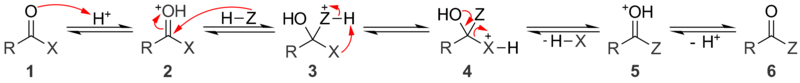 A general mechanism for acid catalyzed nucleophilic acyl substitution