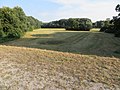 Levee, field, and woodland in the Donau-Auen