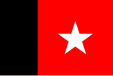 Flag of the Republic of Independent Guiana (second, 1887-1891)