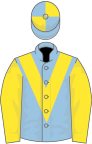 Light blue, yellow chevron and sleeves, quartered cap