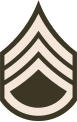 Staff sergeant (United States Army)[45]