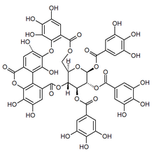 Chemical structure of bicornin