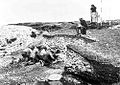 Image 103Excavation of the Ertebølle middens in 1880 (from Atlantic Ocean)