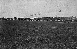 A line of wooden carts with wagon wheels pulled by oxen move down a path through a prairie