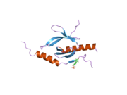 2h7e: Solution structure of the talin F3 domain in complex with a chimeric beta3 integrin-PIP kinase peptide- minimized average structure