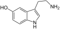 Serotonin (5-Hydroxytryptamin)