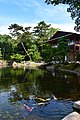 Tokugawa Garden