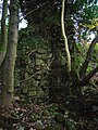 Ruins of the mill building