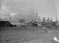 Image 41Blast furnaces such as the Tennessee Coal, Iron and Railroad Company's Ensley Works made Birmingham an important center for iron production in the early 20th century. (from History of Alabama)