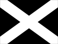 Auto racing disqualification flag