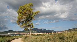 Castellar del Valles and Sant Llorenç del Munt