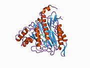 1boa: HUMAN METHIONINE AMINOPEPTIDASE 2 COMPLEXED WITH ANGIOGENESIS INHIBITOR FUMAGILLIN