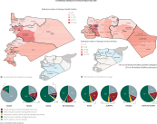 The damage on health sector, assessments are based on actual physical conditions, as seen on the satellite images from January 2017.