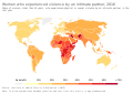 An image showing statistics by percentage of share of women, older than 14 years old who experienced violence by an intimate partner.