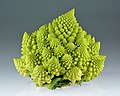 Geometria fractal en la fil·lotaxi d'un romanesco.