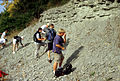 Outcrop of Upper Ordovician rubbly limestone and shale, southern Indiana.