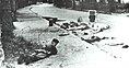 Image 20Belgian soldier taking cover by the corpses of dead hostages, November 1964 in Stanleyville during Operation Dragon Rouge (from History of Belgium)