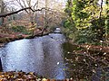 Thumbnail for River Rivelin