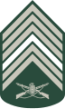 Primeiro-sargento (Brazilian Army)[14]