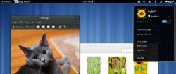 Bildschirmfoto von Gnome 3.2