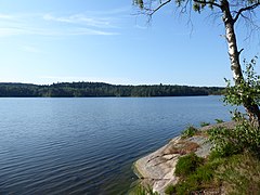 Lilla Delsjön from N shore, June 27, 2020.