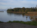 Lough Ennell ezers