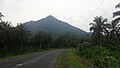 View of Mount Etinde