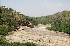 Rivière avec à droite et à gauche de la verdure.