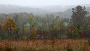 Hoosier National Forest