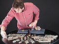 Senior Curator at National Museums Scotland, Martin Goldberg, examining the Galloway Hoard