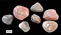 Gastroliths from Jurassic strata near Starr Springs, Utah.