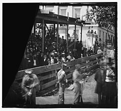 Crowd during the Grand Review of the Armies