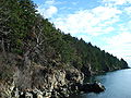 A steep rocky coastline covered in trees