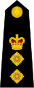 英國海軍陸戰隊元帥肩章
