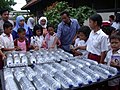 Image 53Solar water disinfection in Indonesia (from Solar energy)