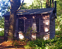 A small house with unpainted wooden siding in the middle of some pine trees with a field beyond