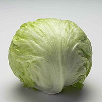 Lettuce Iceberg