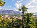 Locarno from Monti Trinità. Note the presence of palm trees in the foreground and the brown mountains in the background, showing the prevalence of deciduous trees (before foliation) at even high elevations.