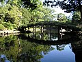 Rustic bridge at Tensha-en garden in Uwajima (1866)