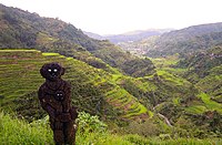 A hogang, fern-trunk statue, of a god protecting boundaries in Ifugao