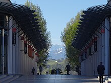 Photographie en couleurs de l'allée centrale à ciel ouvert d'une galerie commerciale.