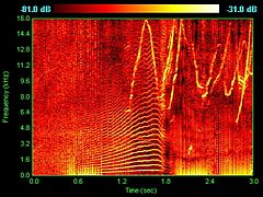 Spectrogram of dolphin vocalizations; chirps, clicks and harmonizing are visible as inverted Vs, vertical lines and horizontal striations respectively.